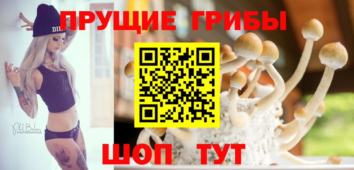 Псилоцибиновые грибы GOLDEN TEACHER Удомля